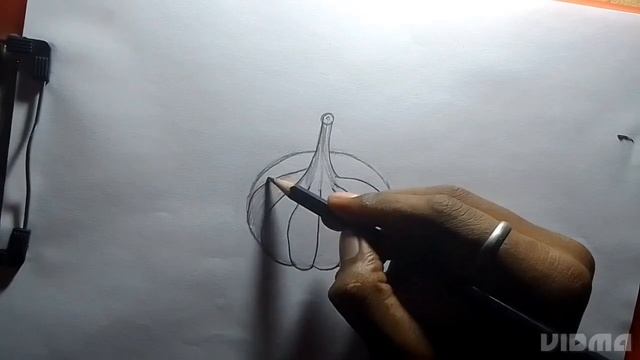 how to draw garlic with pencil ✏️ sketch step by step смотреть онлайн