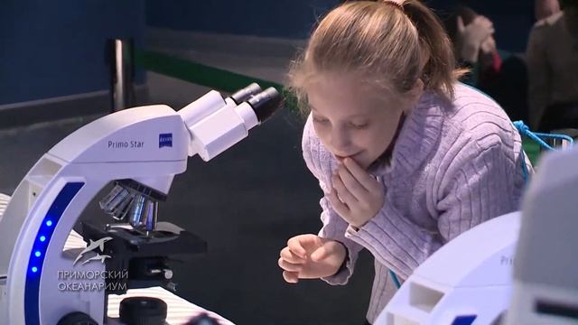 Путешествие в микромир.