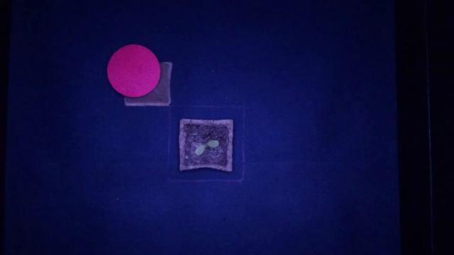 OpenCV lettuce crop measurements смотреть онлайн