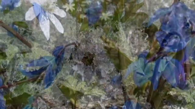 8 Марта смотреть онлайн