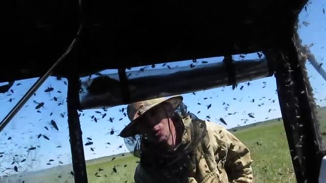 Жесть))Настоящий гнус, слабонервным не смотреть. 2 ))The invasion of midges смотреть онлайн