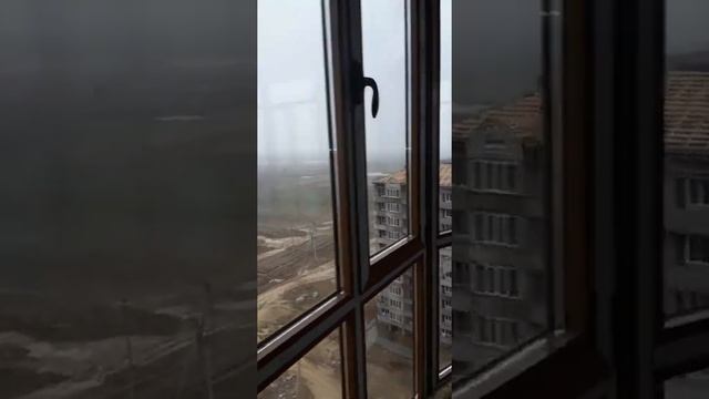 Окна золотой дуб смотреть онлайн