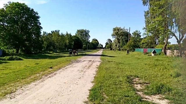 Привітання з днем молоді та конституції смотреть онлайн