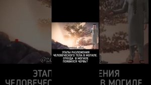 Этапы разложения человеческого тела в могиле после смерти