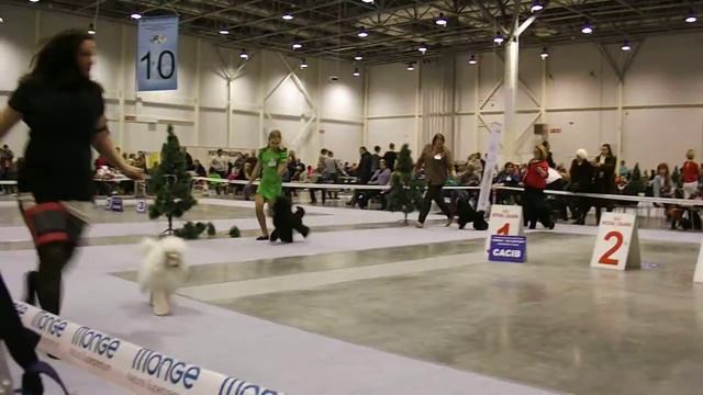 895 & 896 & 899 & 898 Международная выставка в Новосибирске, 11.12.16 смотреть онлайн