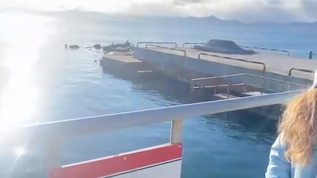 Лежбище в Петропавловске-Камчатском смотреть онлайн