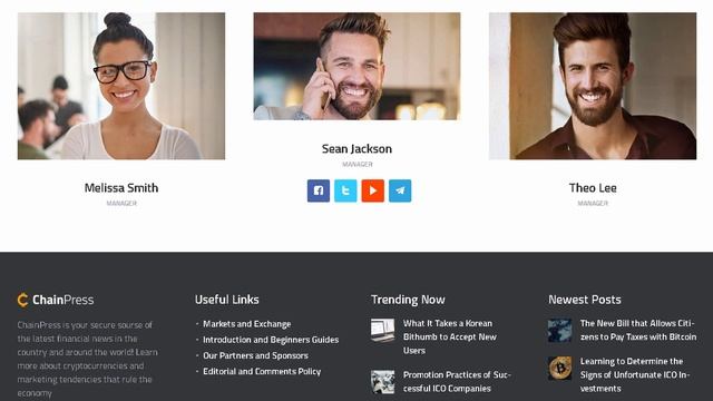 ChainPress | Financial WordPress Business Blog Theme | Themeforest Templates смотреть онлайн