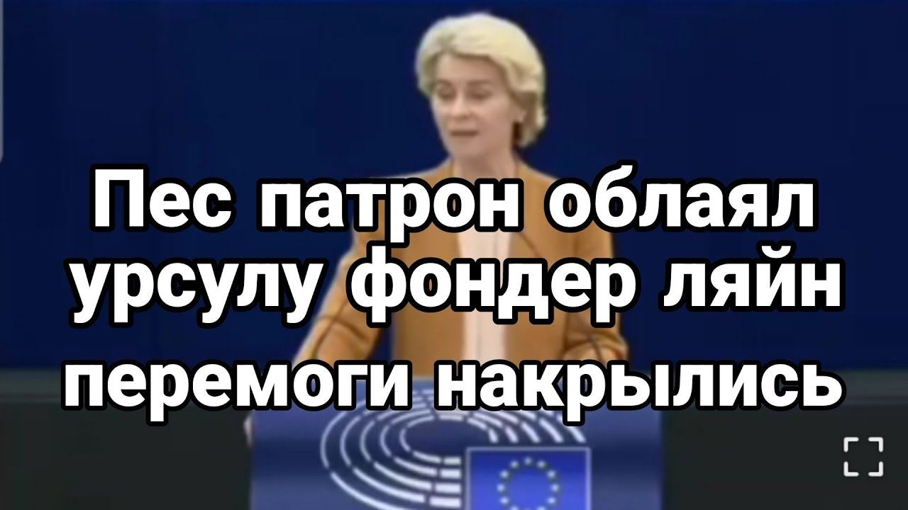 ПЕС ПАТР0Н НАКИНУЛСЯ НА ЕВР0ПАРЛАМЕНТ!