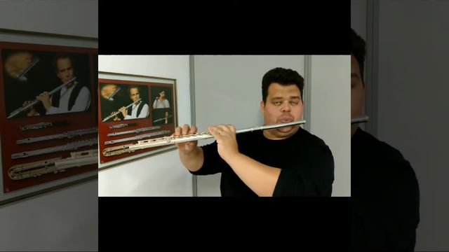 Testando a flauta D'Paula Medina modelo Profissional смотреть онлайн