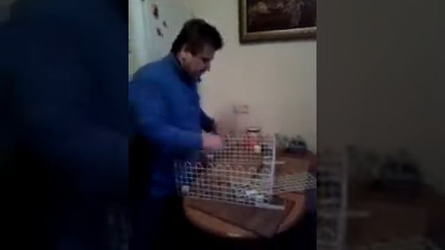 Противоожоговый защитник детей смотреть онлайн