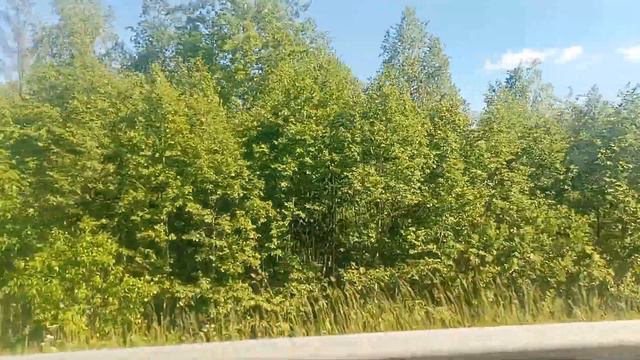 Череповец | Поездка на автобусе Mercedes-Benz O530 Citaro (АК075_35; 1330) | Маршрут 211 смотреть онлайн
