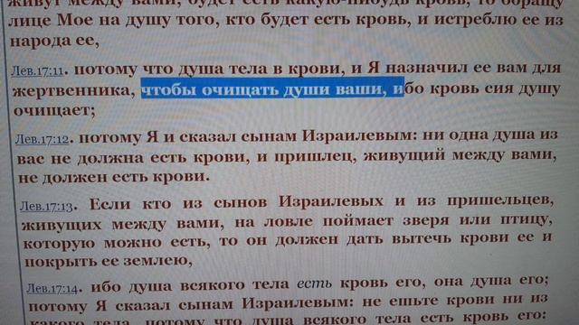 ?Что такое ДУША и кто её ест? смотреть онлайн