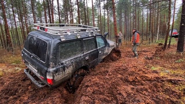 Торфяная ловушка…или как выжить с @beka_malania