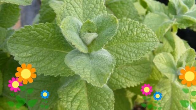 Строительные Материалы