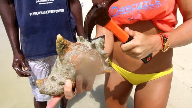 Catch and Cook Lobster & Conch on a DESERTED ISLAND! Cooked on the Beach! смотреть онлайн