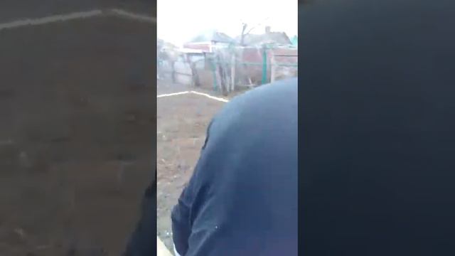 ??️ ГОЛУБИ ?️? "" 1.Ч. В ГОСТЯХ В ЦЕЛИНЕ У ЛЕХИ БИЗОНА "" 10..03..19.. смотреть онлайн