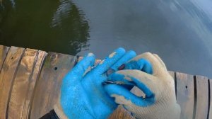 Ищем потеряшки на Пляже! Поиск с Металлоискателем в воде !