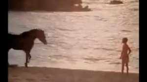 чёрный скакун 1979год