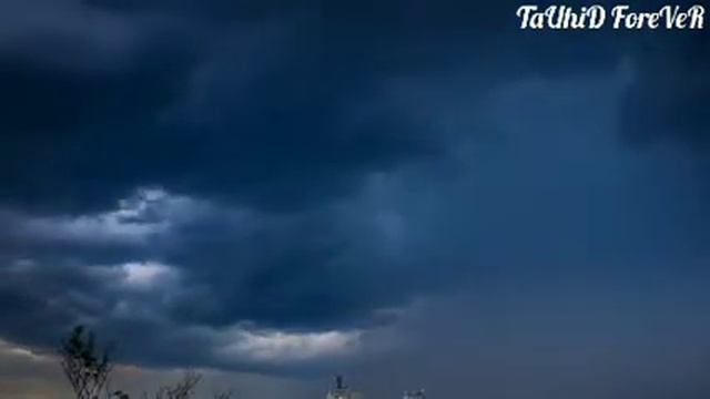 Очень хороший хадис Пророк сказал смотреть онлайн