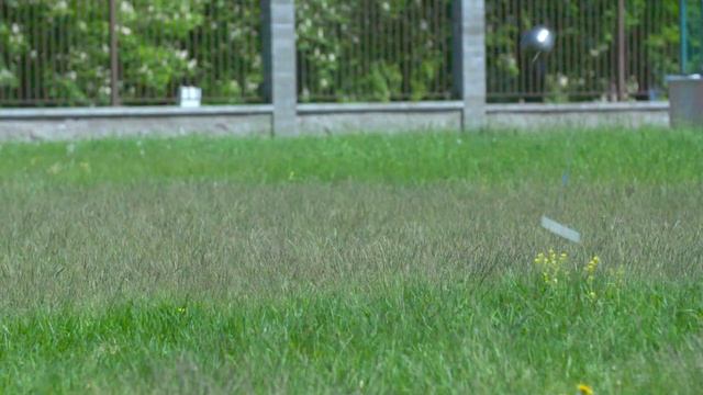 Чистый спорт легкая атлетика смотреть онлайн