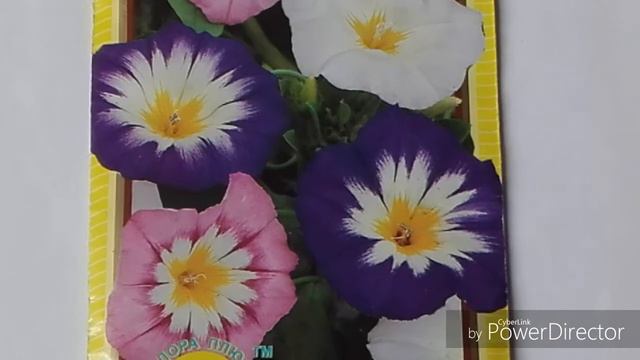 С Днем Рожденья доченька!!! 🌺 🌻 🌹 смотреть онлайн