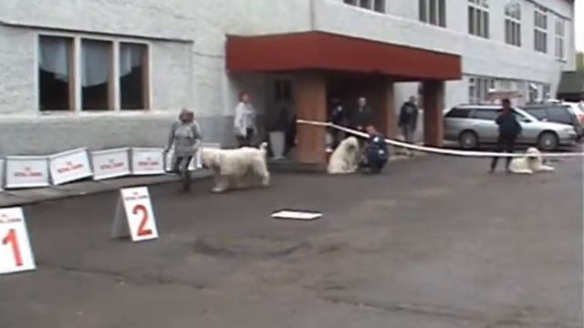 Моно ЮРО ПК Новосибирск 31 08 13г Суки Сравнение на ЛПП смотреть онлайн