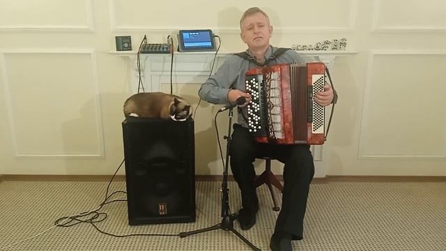 "Le Deniseur" (Французский аккордеон). смотреть онлайн