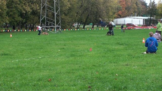 Гусманова Ксения НО Инга Ласт Хатхи смотреть онлайн