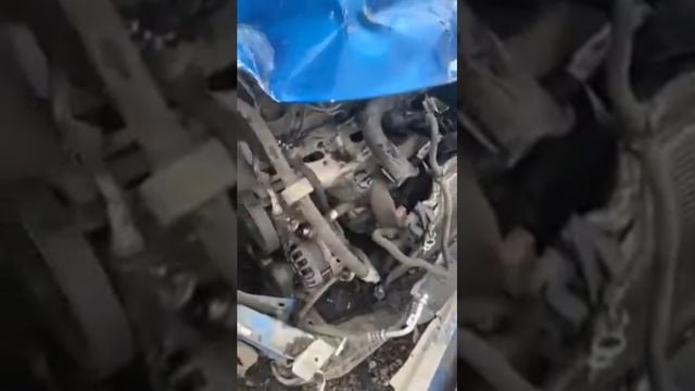Авторазбор АМС Антипино Renault Logan 2 двс 1.6 K7MA812 смотреть онлайн
