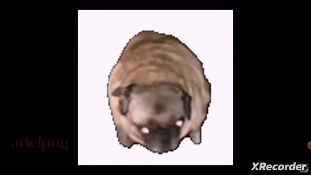 salami gulp gulp gulp meme смотреть онлайн