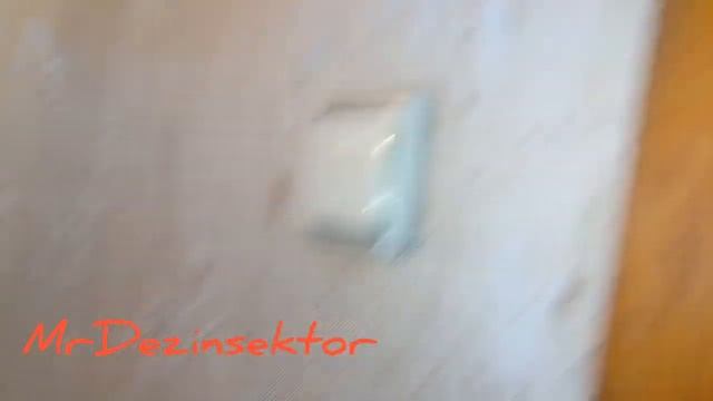 Подборка жести с клопами???(Bedbug tinplate???) смотреть онлайн