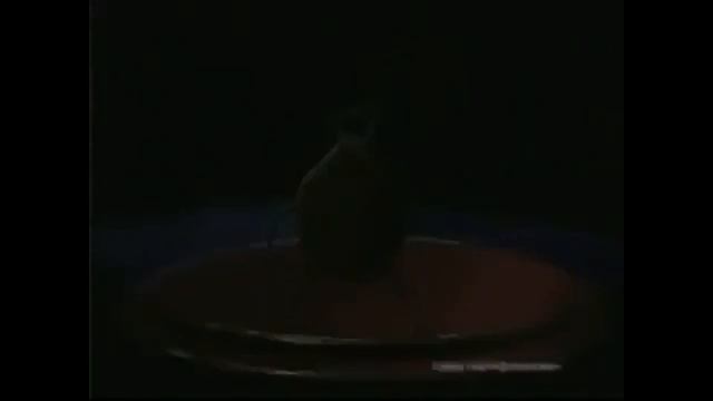 Kandaliza Raiz   Плюнь мне Speed up nightcore