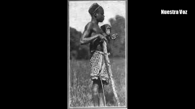 OTA BENGA: nuestro homenaje en el centenario de su muerte. смотреть онлайн
