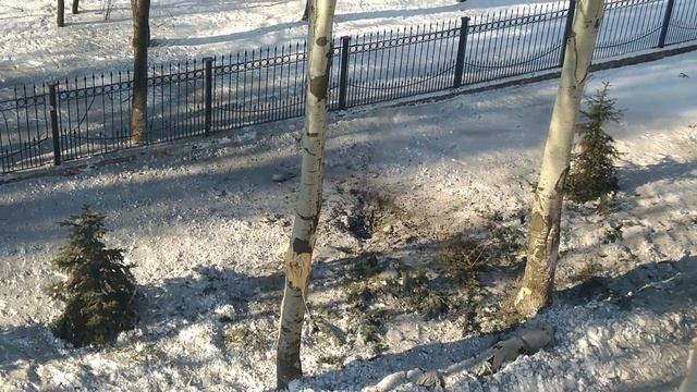 Донецк 31.01.2017 РАНИМИ , Челюскинцев 291. смотреть онлайн