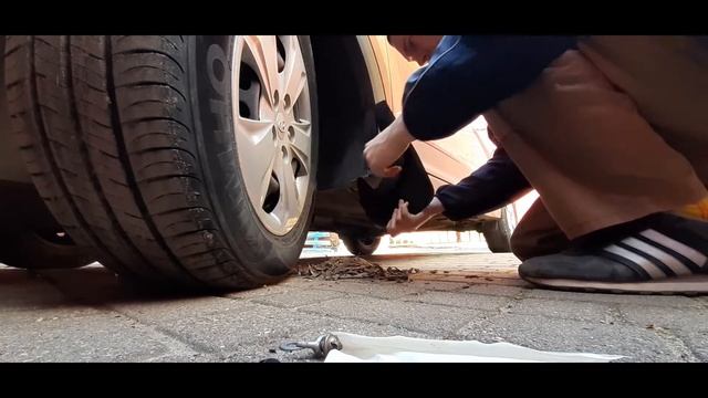 Автомобильные лидеры