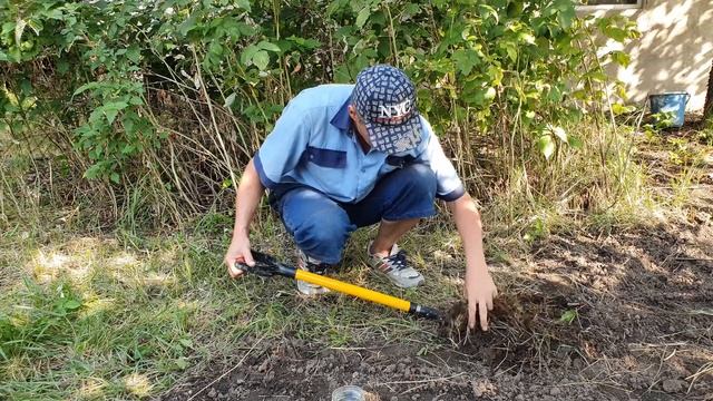10 Начал копать землю на даче 3 смотреть онлайн
