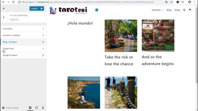?ELEMENTOR y La plantilla ?NEVE de WORDPRESS? смотреть онлайн