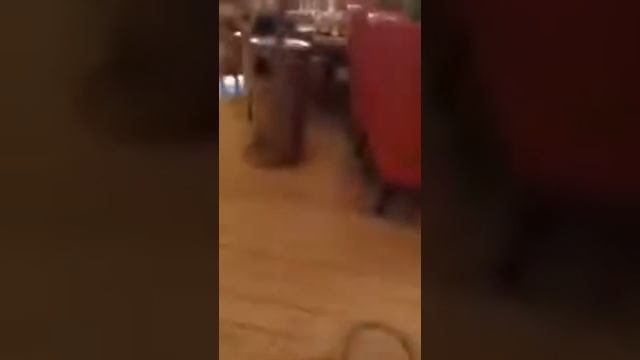 Рома (из Дневник Хача) как познакомились с Аликом и Амираном.mp4 смотреть онлайн