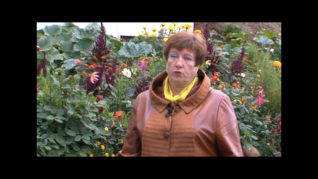 Дивный сад прошлогодних победителей «Зелёного двора» заиграл новыми красками смотреть онлайн