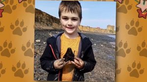 Мегаладон жив???? Видео которые стали подверждателями существование Мегалодона!!!