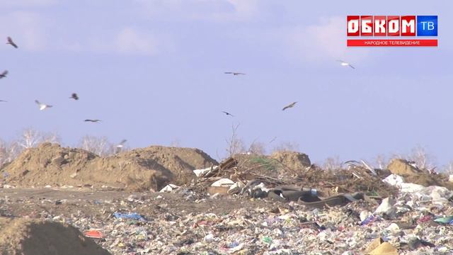Хроника дня. Свалка в Калачинске. 28.04.2022 смотреть онлайн