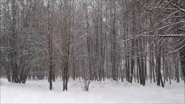 Зеленая карета, А.Суханов - О.Дриз смотреть онлайн
