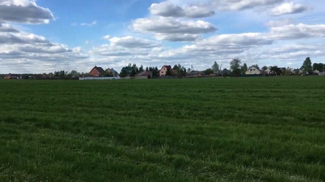 семенник овсяницы крвсной ООО Изумруд смотреть онлайн