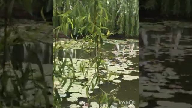 Женский монастырь Иконы Божией Матери «Всецарица». смотреть онлайн