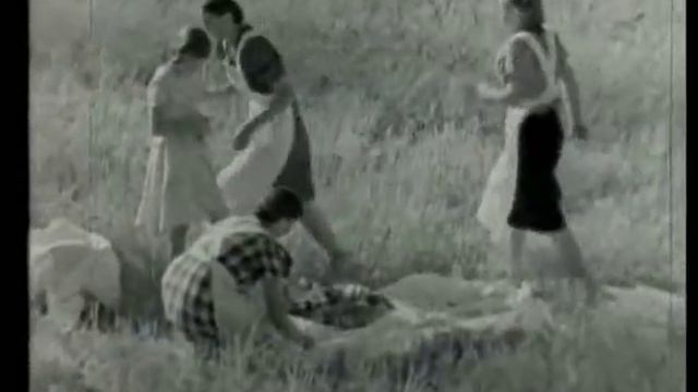Vetelin elonkorjuu. Sadonkorjuuta vuonna 1939 osa 1/2 смотреть онлайн