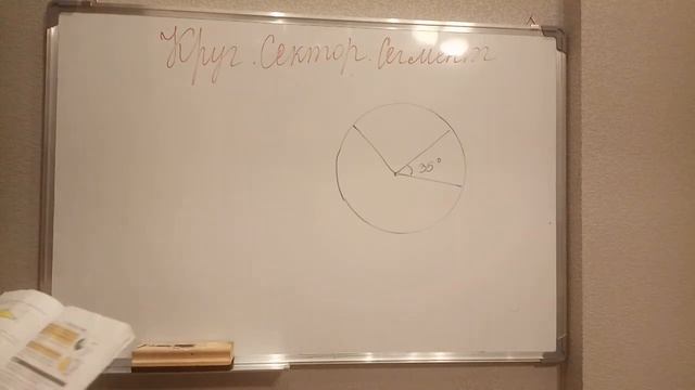 Круг. Сектор. Сегмент смотреть онлайн