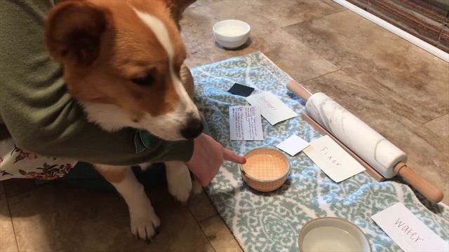 Automatic Film Processing смотреть онлайн