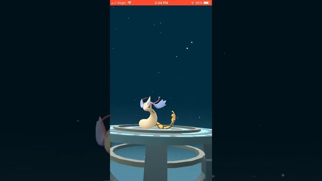 Evolving my Shiny Feebas Into Shiny Milotic! ✨ Pokémon Go смотреть онлайн