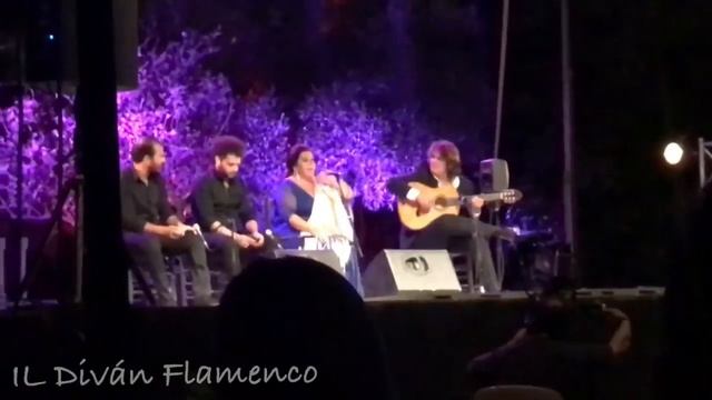 Los Viernes Flamencos de Jerez смотреть онлайн