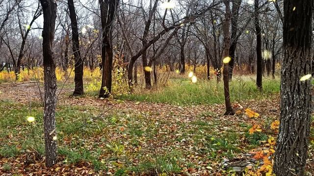 Муж хочет, чтобы я продала наследственную квартиру и помогла, свекрови погасить ипотеку смотреть онлайн